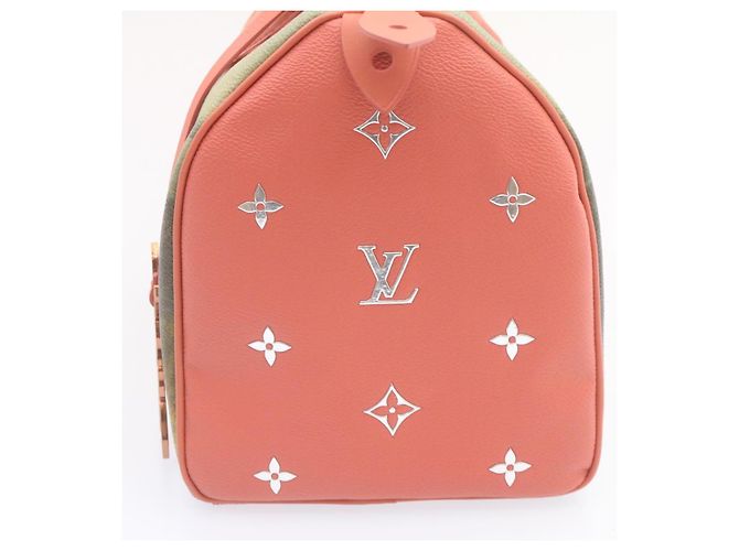 LOUIS VUITTON MASTERS Da Vinci Mona Lisa Speedy 30 Borsa a mano M43002 auth 24394 Rosa - vista 3