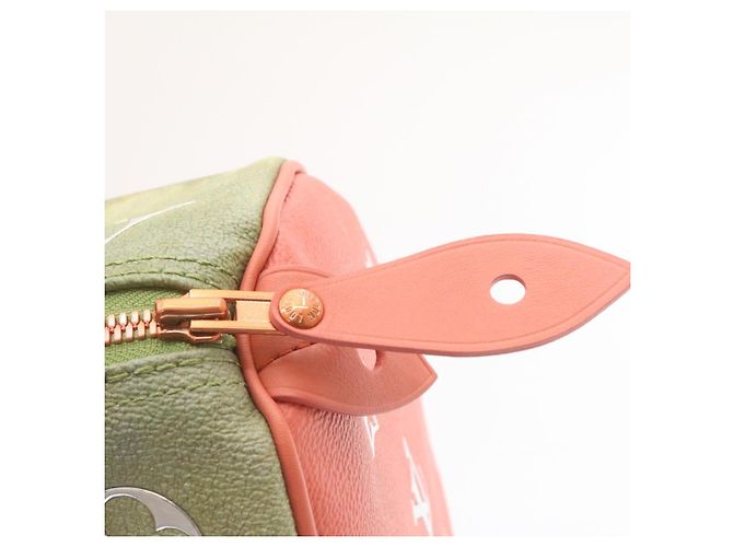 LOUIS VUITTON MASTERS Da Vinci Mona Lisa Speedy 30 Borsa a mano M43002 auth 24394 Rosa - vista 6