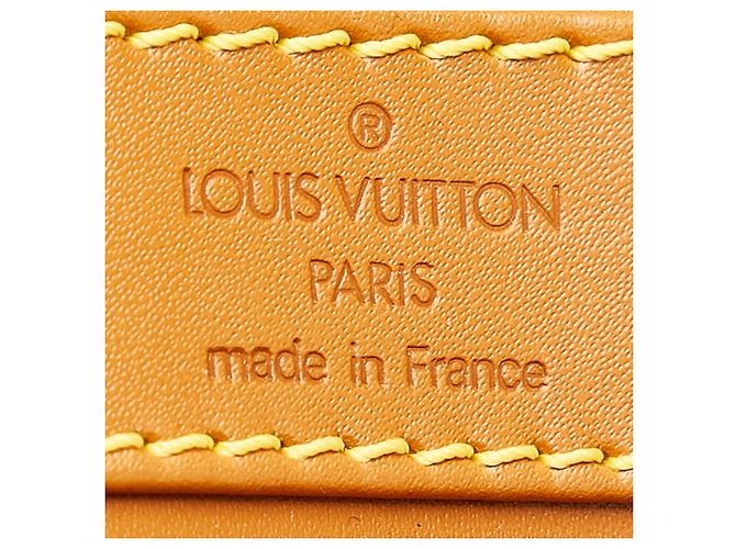 Louis Vuitton Brown Epi Randonnee PM Marrone - vista 6