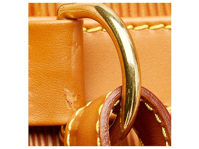 Louis Vuitton Brown Epi Randonnee PM Marrone - vista 8