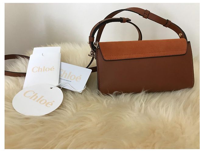 Borsa piccola Faye di Chloé - vista 2