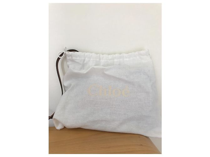 Borsa piccola Faye di Chloé - vista 7