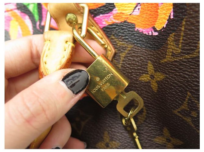Speedy Louis Vuitton borsa veloce 30 PINK-M48610 STEPHEN SPROUSE MONOGRAM LV ROSE Marrone - vista 13