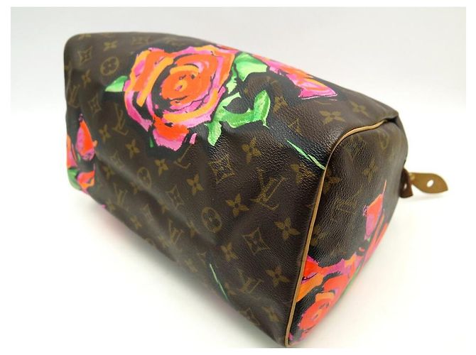 Speedy Louis Vuitton borsa veloce 30 PINK-M48610 STEPHEN SPROUSE MONOGRAM LV ROSE Marrone - vista 3