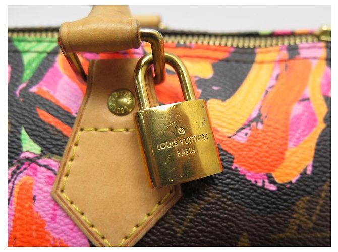 Speedy Louis Vuitton borsa veloce 30 PINK-M48610 STEPHEN SPROUSE MONOGRAM LV ROSE Marrone - vista 5