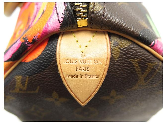 Speedy Louis Vuitton borsa veloce 30 PINK-M48610 STEPHEN SPROUSE MONOGRAM LV ROSE Marrone - vista 6