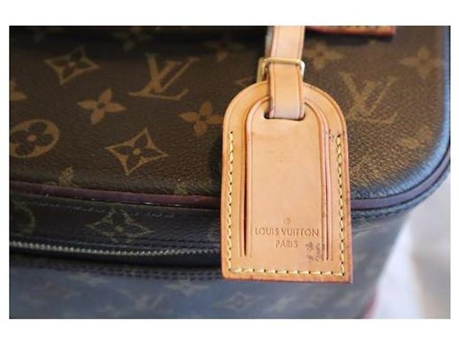 Louis Vuitton Vanity Nice Borsa da Viaggio Marrone - vista 2