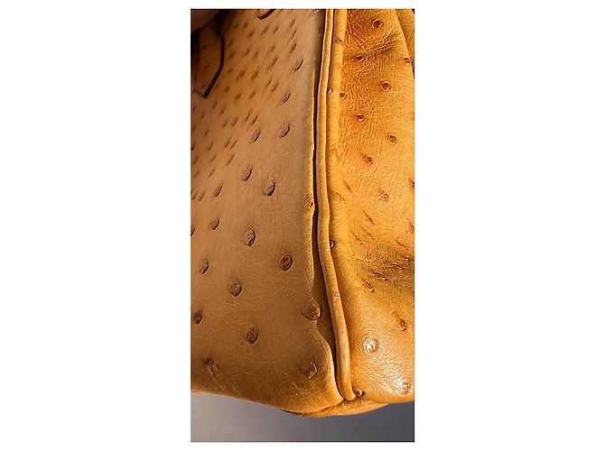 Hermès HERMES BIRKIN 35 Borsa in struzzo Zafferano PHW; 29R; 2006; con hardware dorato Giallo - vista 10
