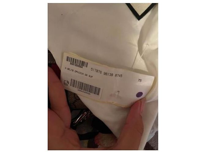 Marsupio Ophidia Web Gucci marrone GG Supreme Beige - vista 4