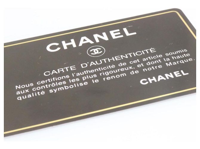 Borsa a tracolla con catena Vanity CHANEL rosa canapa CC Auth knn023 - vista 27