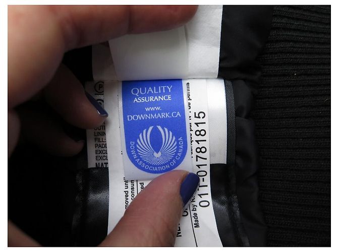 CANADA GOOSE COAT BORDEN FLIEGERJACKE 7968M 48 M IN POLYESTERMANTEL - Ansicht 7