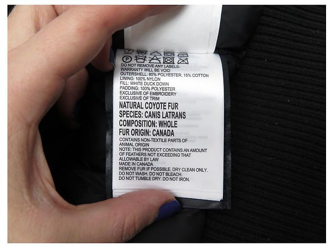 CANADA GOOSE COAT BORDEN FLIEGERJACKE 7968M 48 M IN POLYESTERMANTEL - Ansicht 9
