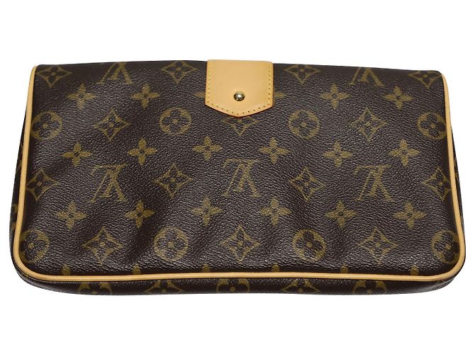 Louis Vuitton Pochette Louis Vuiton Sofia Coppola Monogram in tela marrone - vista 2