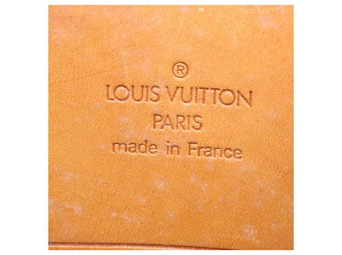 Louis Vuitton Sirius Marrone - vista 6