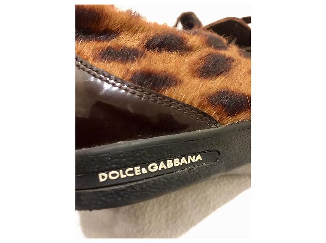Dolce & Gabbana Sneakers stile cavallino in vernice e pelle di vitello Marrone Stampa leopardo - vista 5