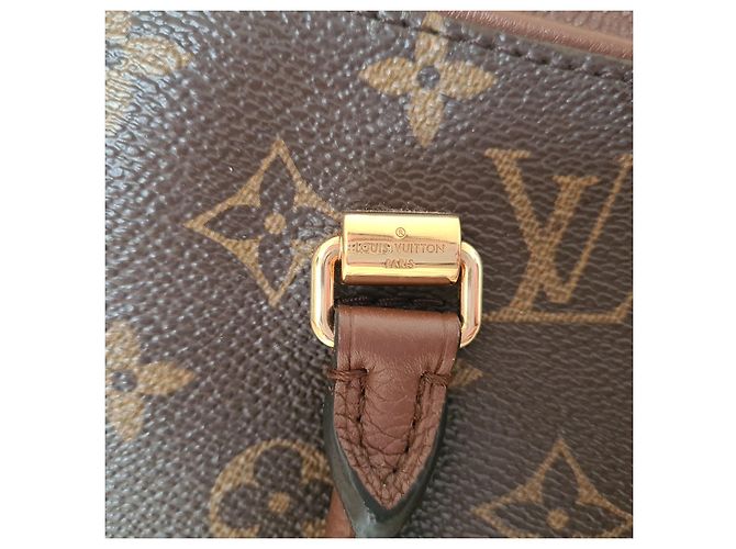 Borsa Louis Vuitton Pallas in pelle color nocciola - vista 6