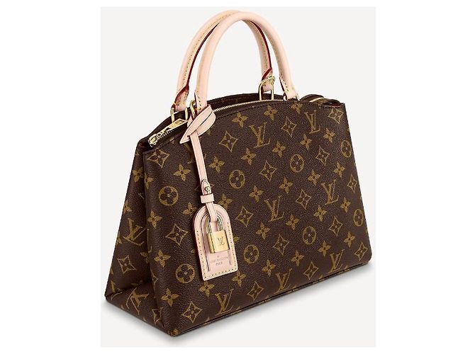 Louis Vuitton Borsa tote LV Petit Palais Marrone - vista 3