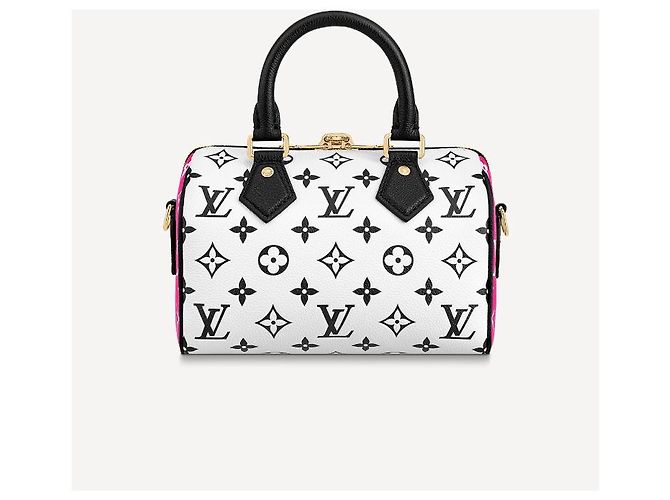 Louis Vuitton Bandouliere LV Speedy 20 Leather Multicolore - vista 2