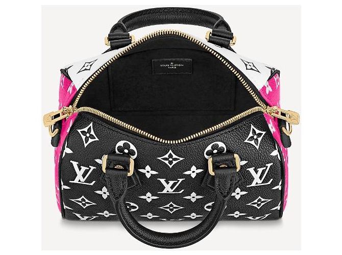 Louis Vuitton Bandouliere LV Speedy 20 Leather Multicolore - vista 3