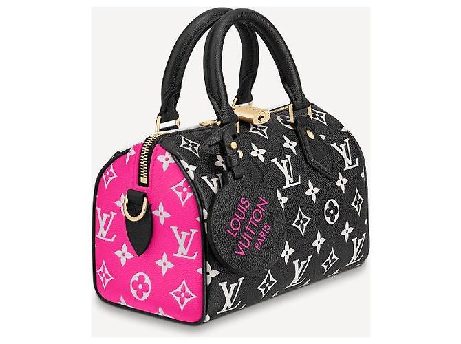 Louis Vuitton Bandouliere LV Speedy 20 Leather Multicolore - vista 5