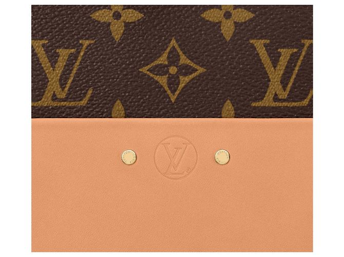 Louis Vuitton LV Boite Chapeau Zuppa MM Marrone - vista 5