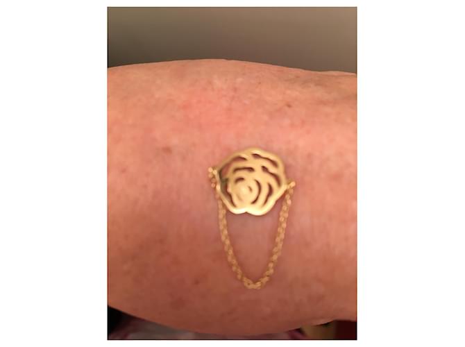 Vanessa Tugendhaft idillio rosa D'oro - vista 7