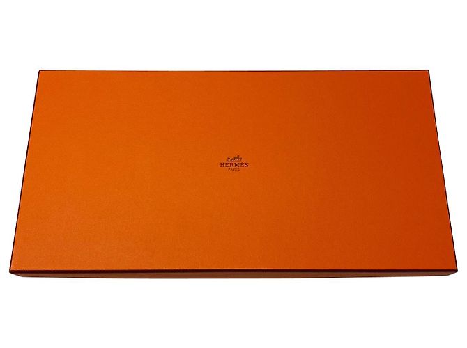 Hermès Hermes Plumes en Fete Scialle in Cashmere Multicolor Multicolore - vista 11