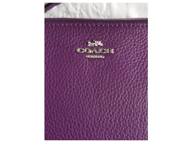 Mini borsa camera Coach in pelle ametista scuro Porpora Silver hardware Viola scuro - vista 7