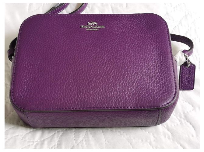 Mini borsa camera Coach in pelle ametista scuro Porpora Silver hardware Viola scuro - vista 9
