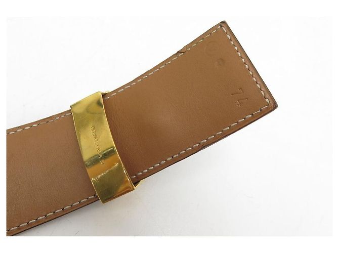 Hermès HERMES MEDOR GÜRTEL HUNDEHALSBAND T74 IN BLACK BOX LEDERGÜRTEL Schwarz - Ansicht 8