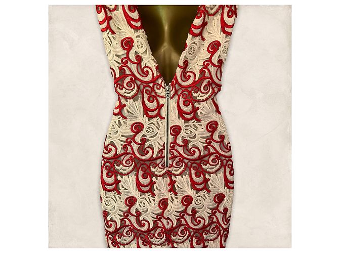 Abito ricamato Alice + Olivia rosso e avorio Crudo - vista 6