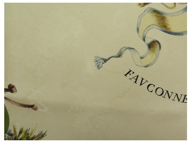 Hermès HERMES FALCONRY ROYAL DEDUCE SCIARPA CARRE DI LINARE 90 SCIARPA SPILLA IN SETA Beige - vista 10
