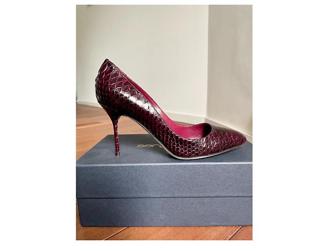 Sergio Rossi Pumps aus Python Leder Bordeaux - Ansicht 2