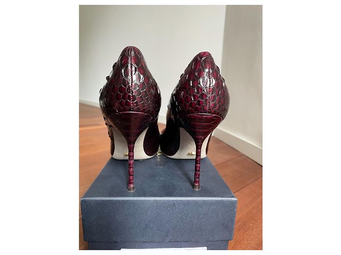 Sergio Rossi Pumps aus Python Leder Bordeaux - Ansicht 4
