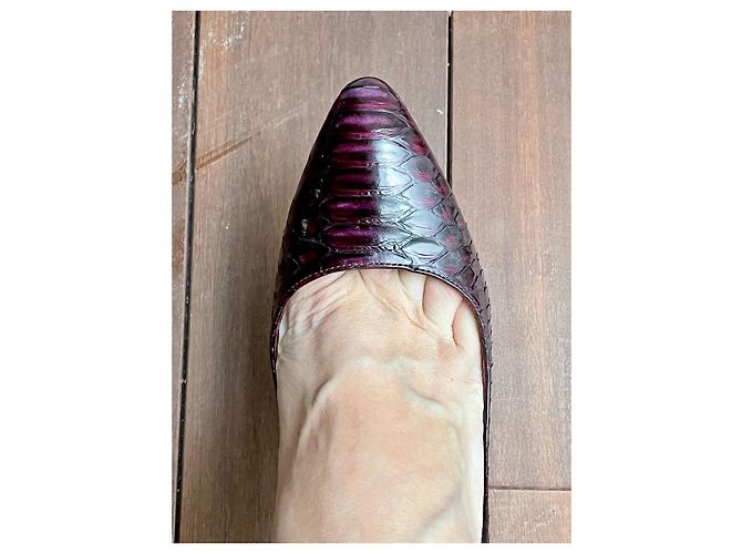 Sergio Rossi Pumps aus Python Leder Bordeaux - Ansicht 7