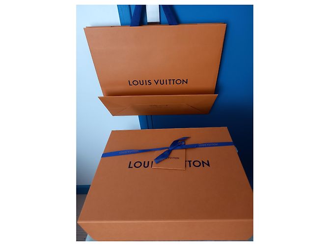 Louis Vuitton Borsa da ghiacciaio Coussin PM Bleu Blu - vista 9