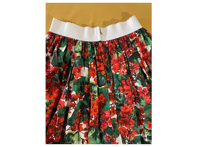 Dolce & Gabbana Midirock mit Blumenmuster Rot Baumwolle - Ansicht 2