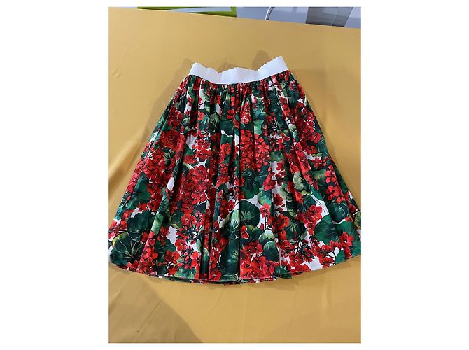 Dolce & Gabbana Midirock mit Blumenmuster Rot Baumwolle - Ansicht 5