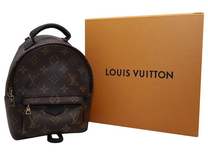 Twist Mini zaino Louis Vuitton Palm Springs in pelle marrone - vista 2
