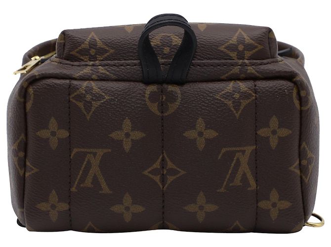 Twist Mini zaino Louis Vuitton Palm Springs in pelle marrone - vista 3