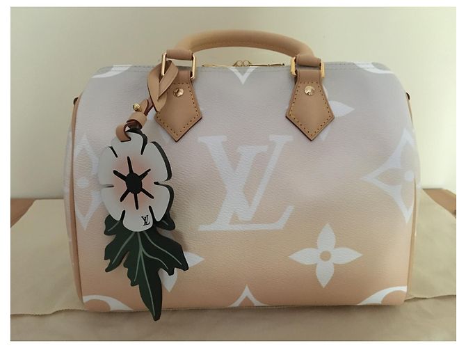 Louis Vuitton Speedy Bandoulière 25 By the Pool Capsule Collection Multicolore - vista 2