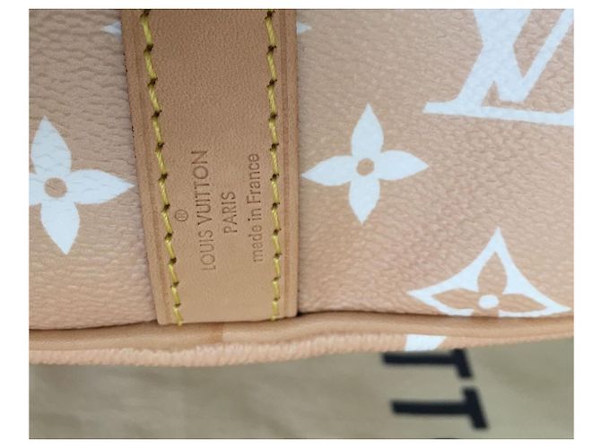 Louis Vuitton Speedy Bandoulière 25 By the Pool Capsule Collection Multicolore - vista 4