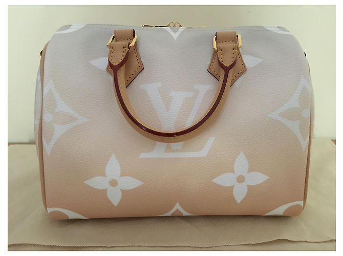 Louis Vuitton Speedy Bandoulière 25 By the Pool Capsule Collection Multicolore - vista 5