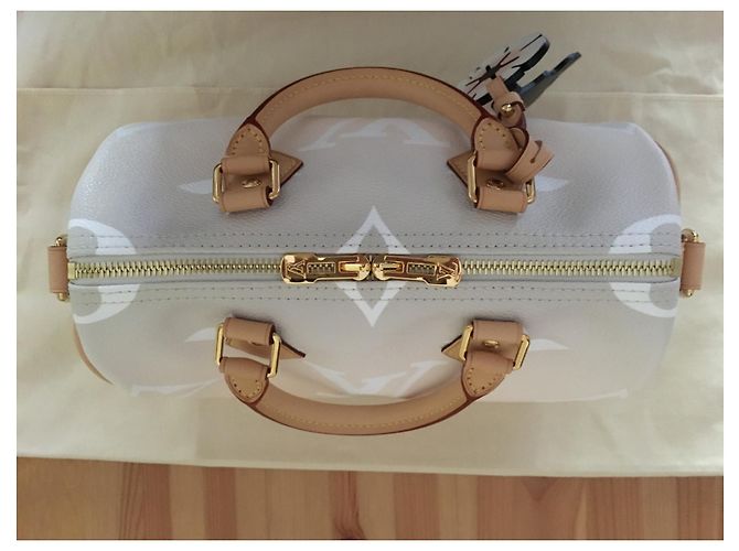 Louis Vuitton Speedy Bandoulière 25 By the Pool Capsule Collection Multicolore - vista 8
