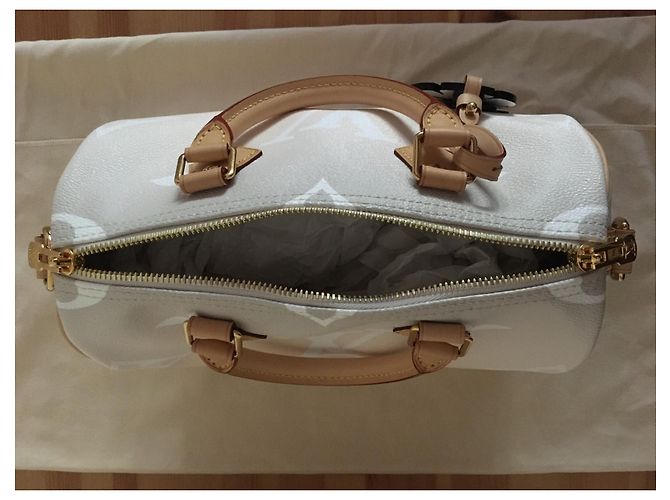Louis Vuitton Speedy Bandoulière 25 By the Pool Capsule Collection Multicolore - vista 9