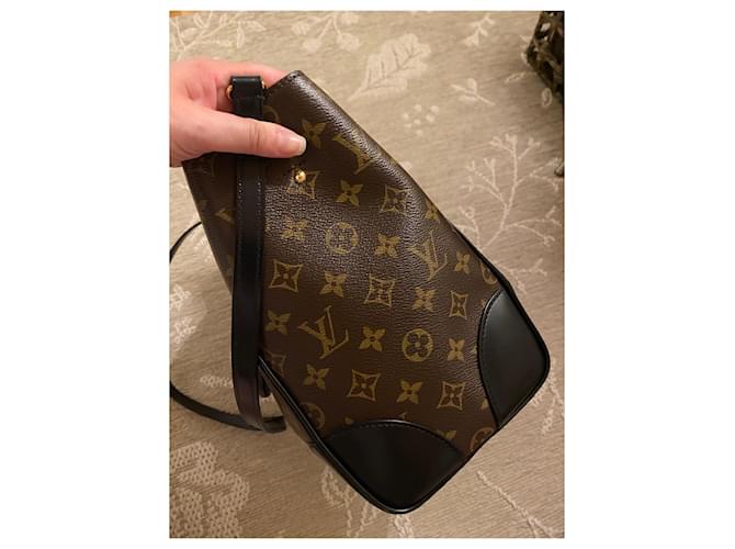 Phenix Borsa Louis Vuitton - vista 6