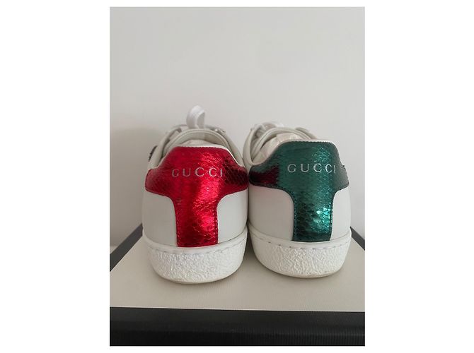 GUCCI SNEAKERS ACE DA DONNA TAGLIA 36 - vista 4