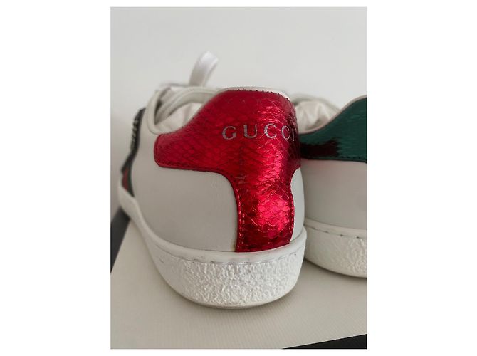 GUCCI SNEAKERS ACE DA DONNA TAGLIA 36 - vista 5