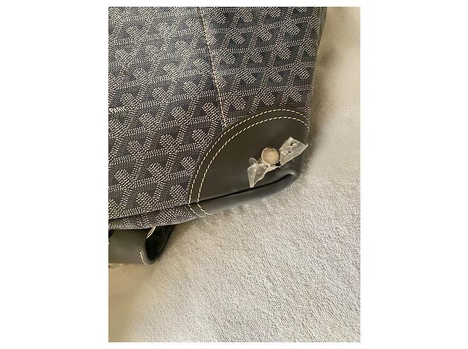 Goyard Boeing - vista 11