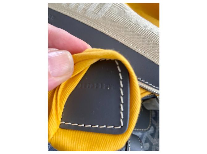 Goyard Boeing - vista 5